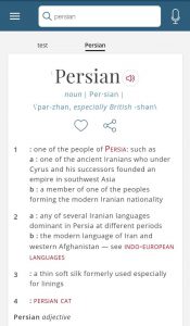 نتیجه جستجو در دیکشنری برای کلمه Persian