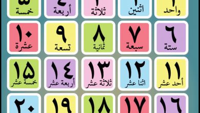 اعداد عربی